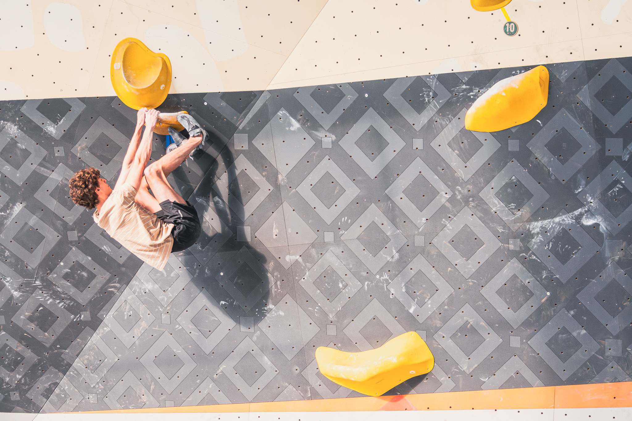 El Vértigo de Tlalpan: Donde la Gravedad es una Opinión y Lima una Promesa